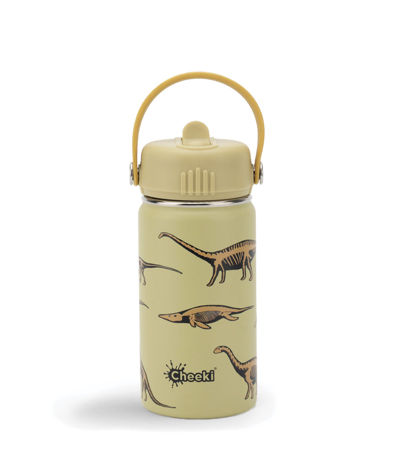 400ml Insulated Little Adventurer Bottle - Dinosaur